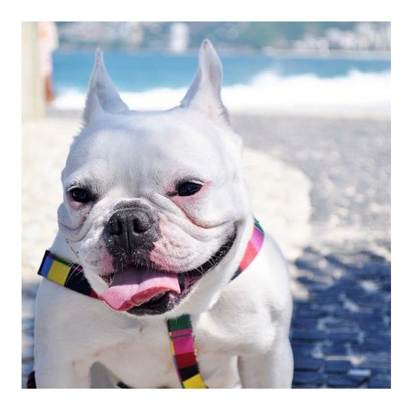 Post 10 by Gucci Mandin & Victoria Mandin on Instagram (image)