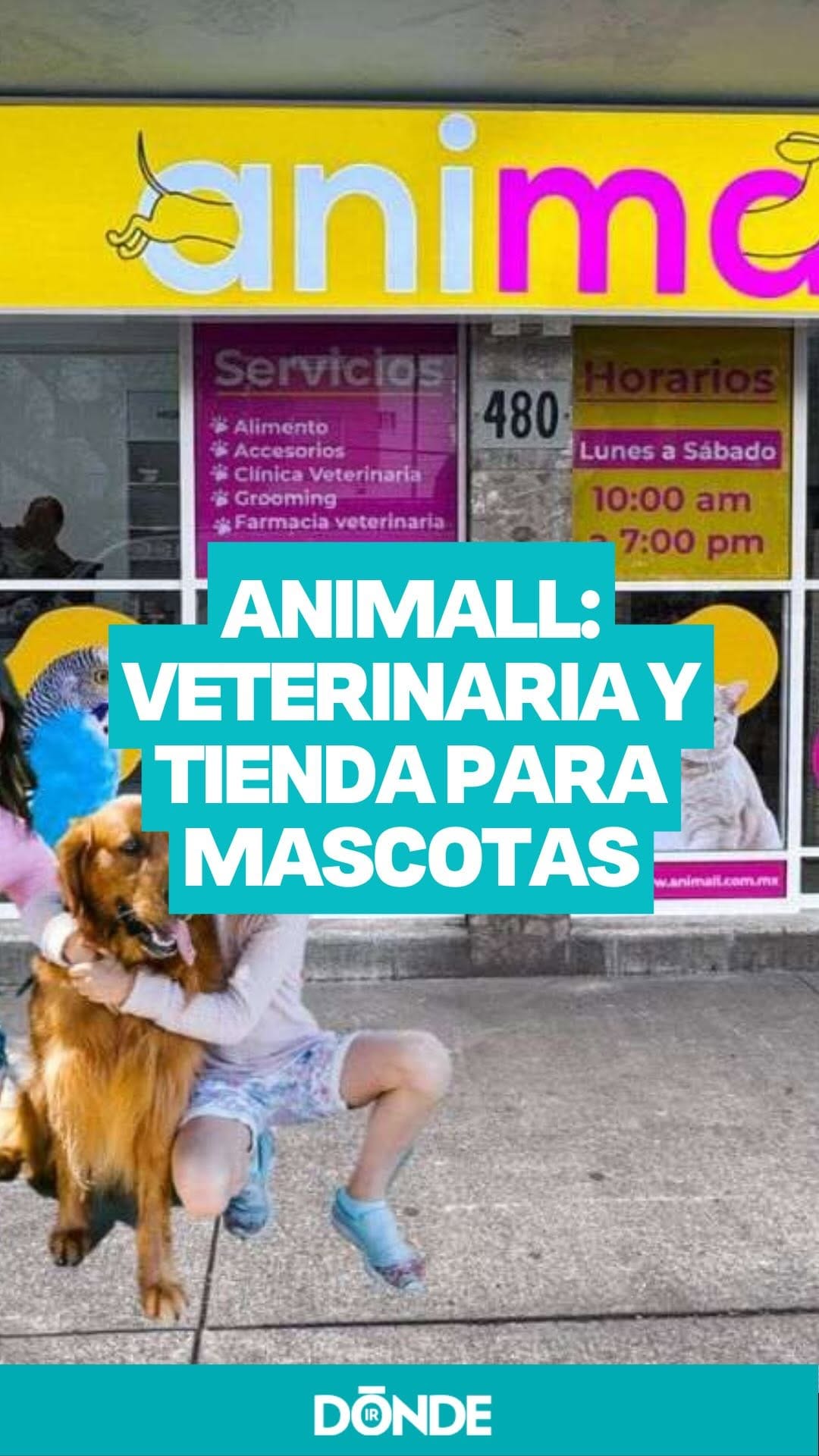 Post 9 by AniMALL México on Instagram (video)