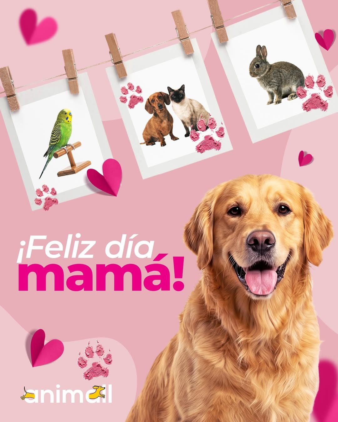 Post 5 by AniMALL México on Instagram (image)