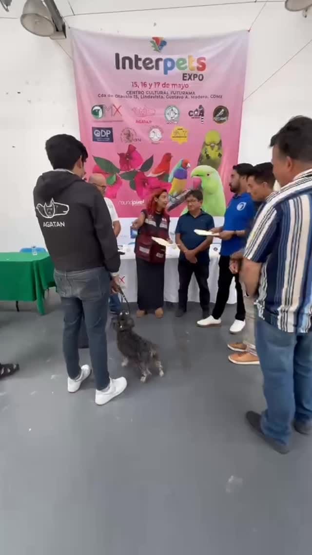 Post 2 by Agencia de Atención Animal on Instagram (video)
