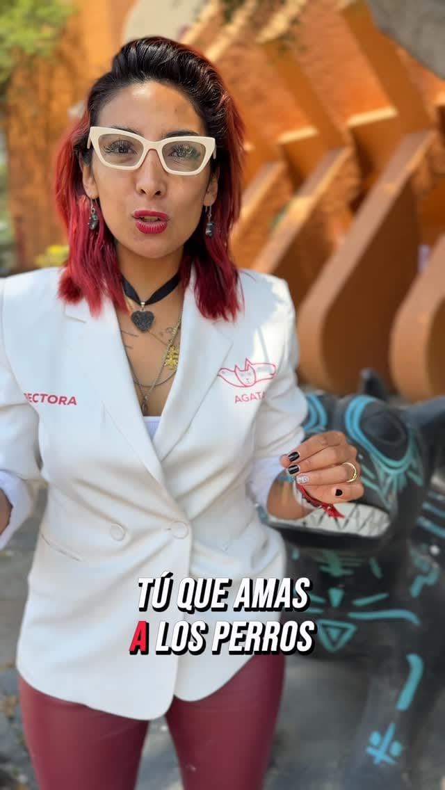 Post 5 by Agencia de Atención Animal on Instagram (video)