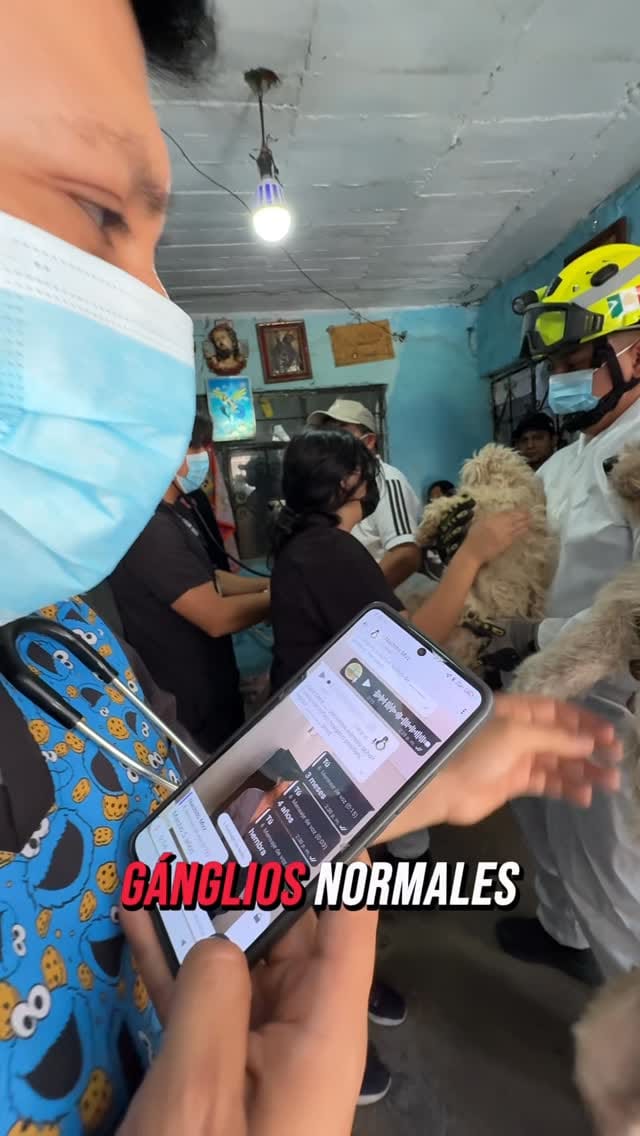 Post 7 by Agencia de Atención Animal on Instagram (video)