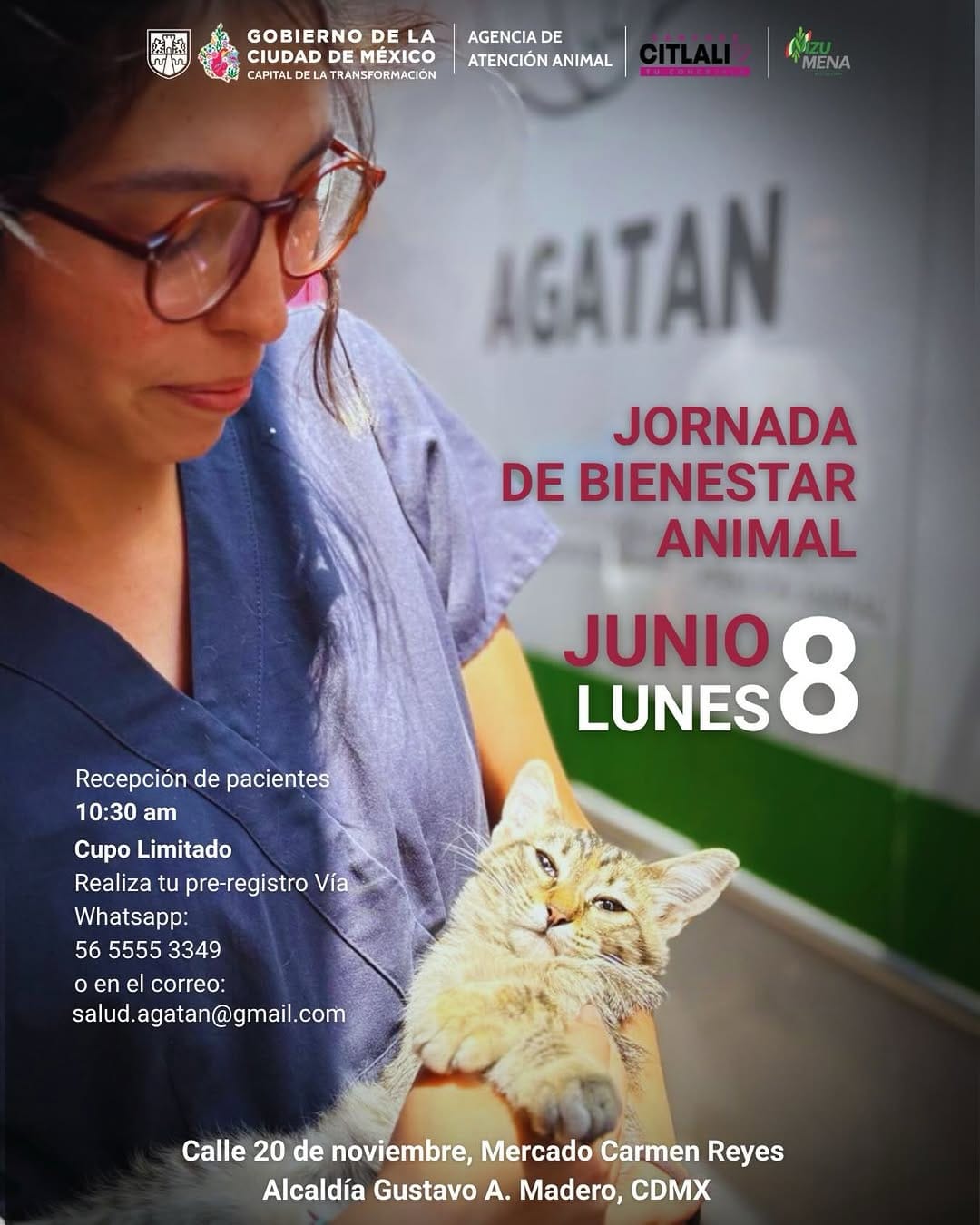 Post 3 by Agencia de Atención Animal on Instagram (image)