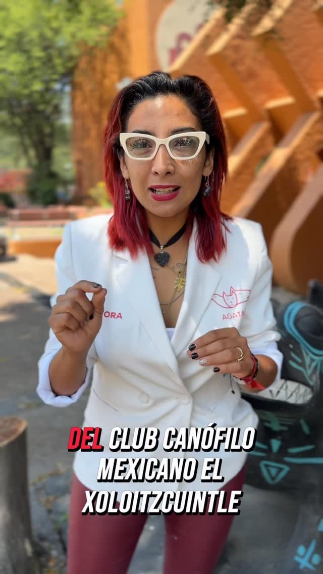 Post 6 by Agencia de Atención Animal on Instagram (video)