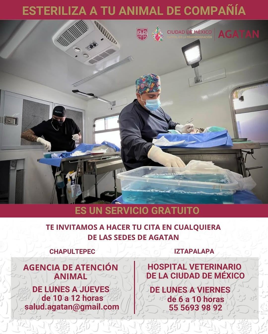 Post 8 by Agencia de Atención Animal on Instagram (image)