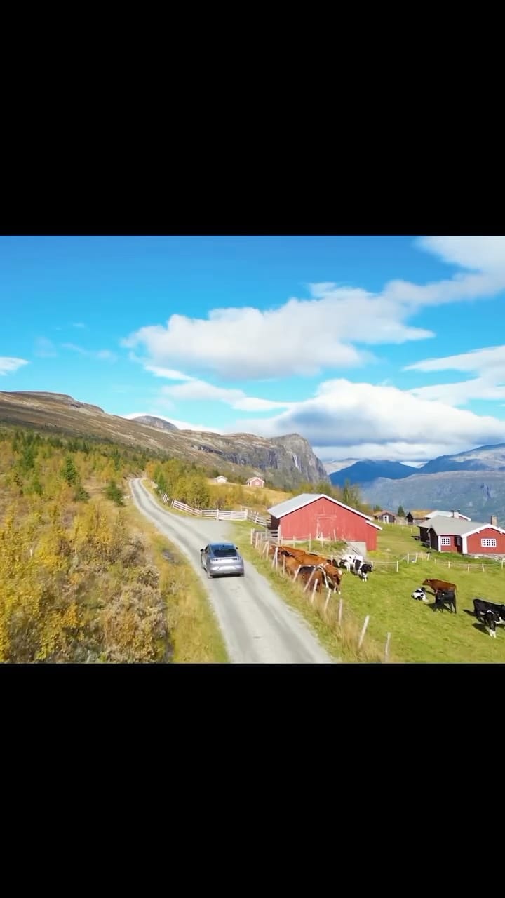 Post 10 by JJ YOSH on Instagram (video)