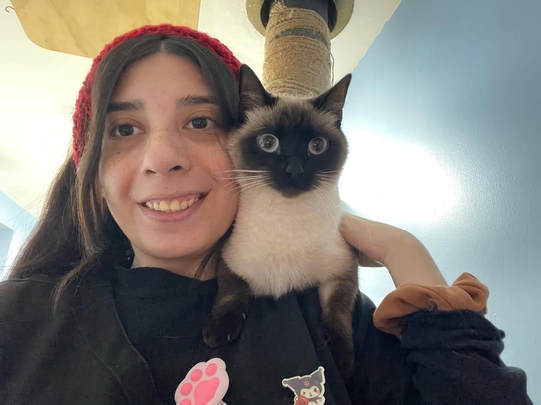 Post 5 by The Cool Cats House on Instagram (carousel)