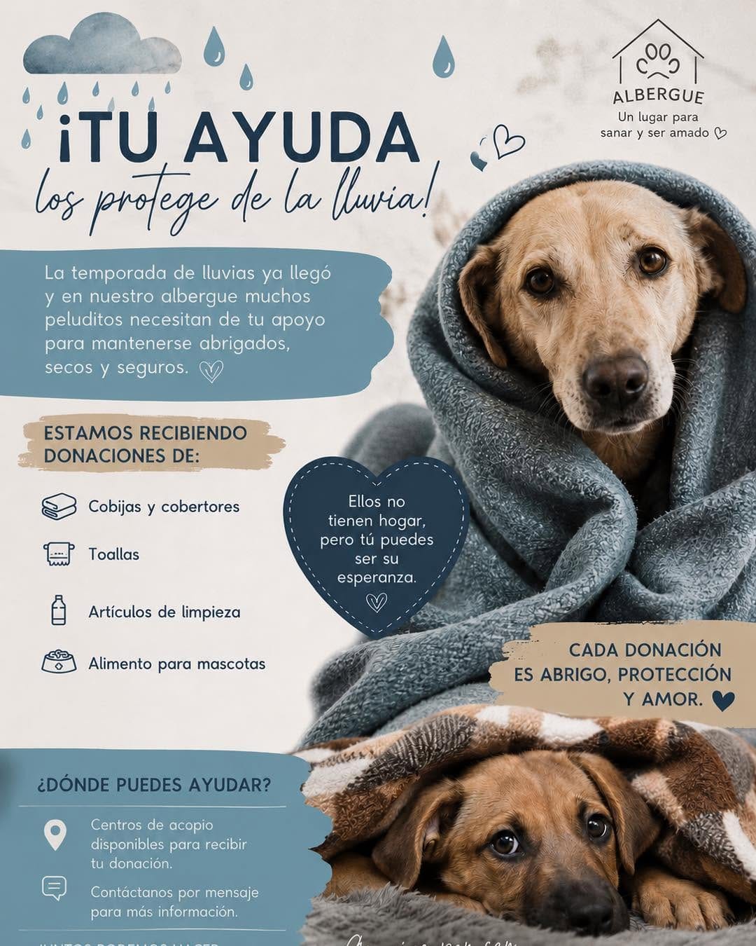 Post 3 by ADOPCIONES TEPA 🐶 on Instagram (image)