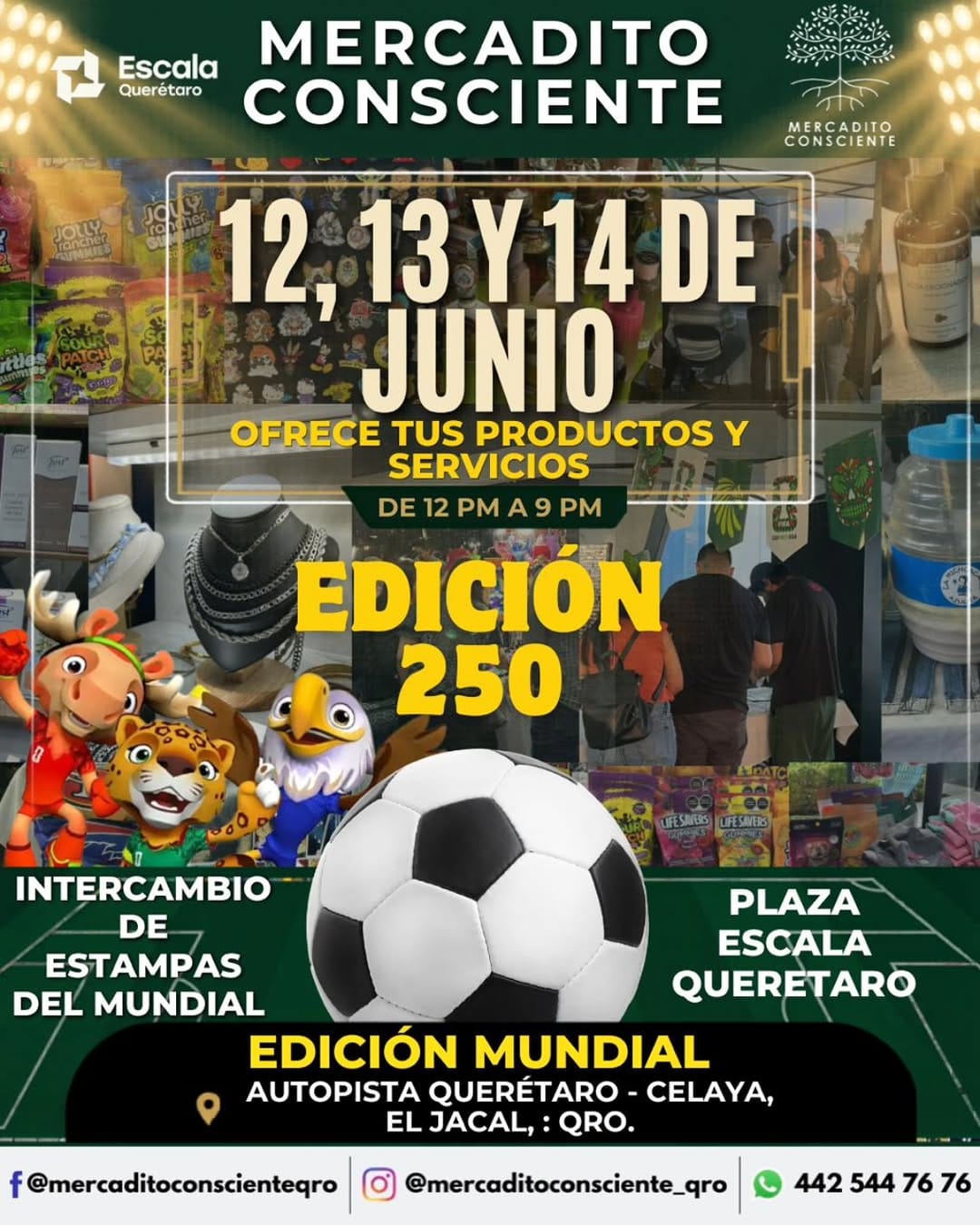 Post 1 by Mercadito Consciente on Instagram (image)