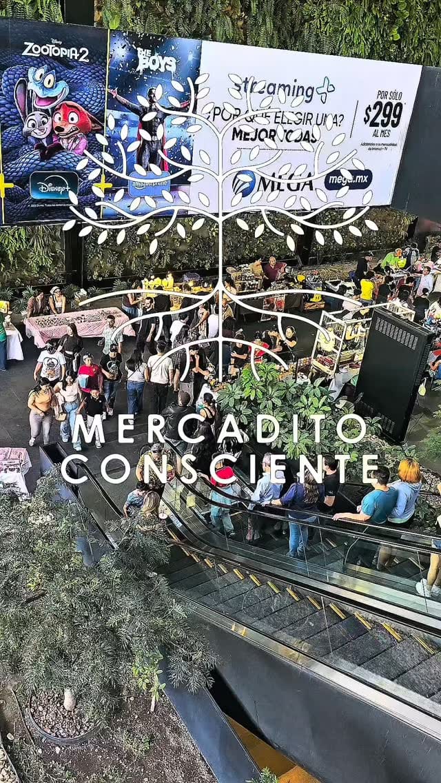 Post 2 by Mercadito Consciente on Instagram (video)