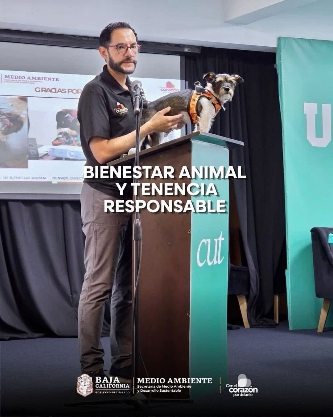 Post 1 by Denver Director de Derecho y Bienestar Animal BC on Instagram (carousel)