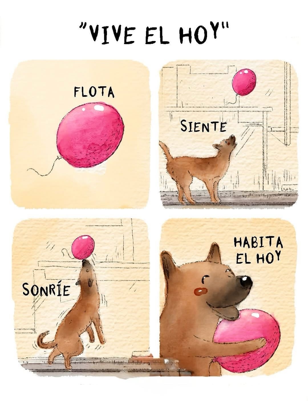 Post 2 by Denver Director de Derecho y Bienestar Animal BC on Instagram (image)