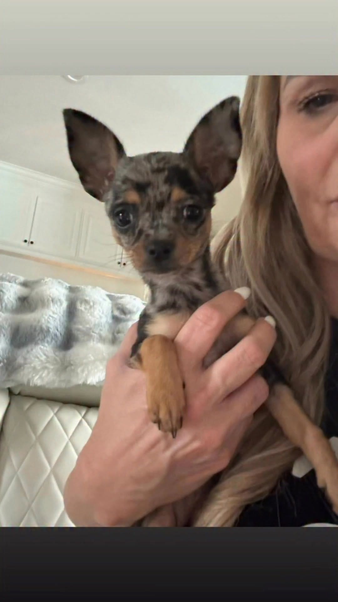 Post 4 by Jami Hollingsworth Redmond on Instagram (video)