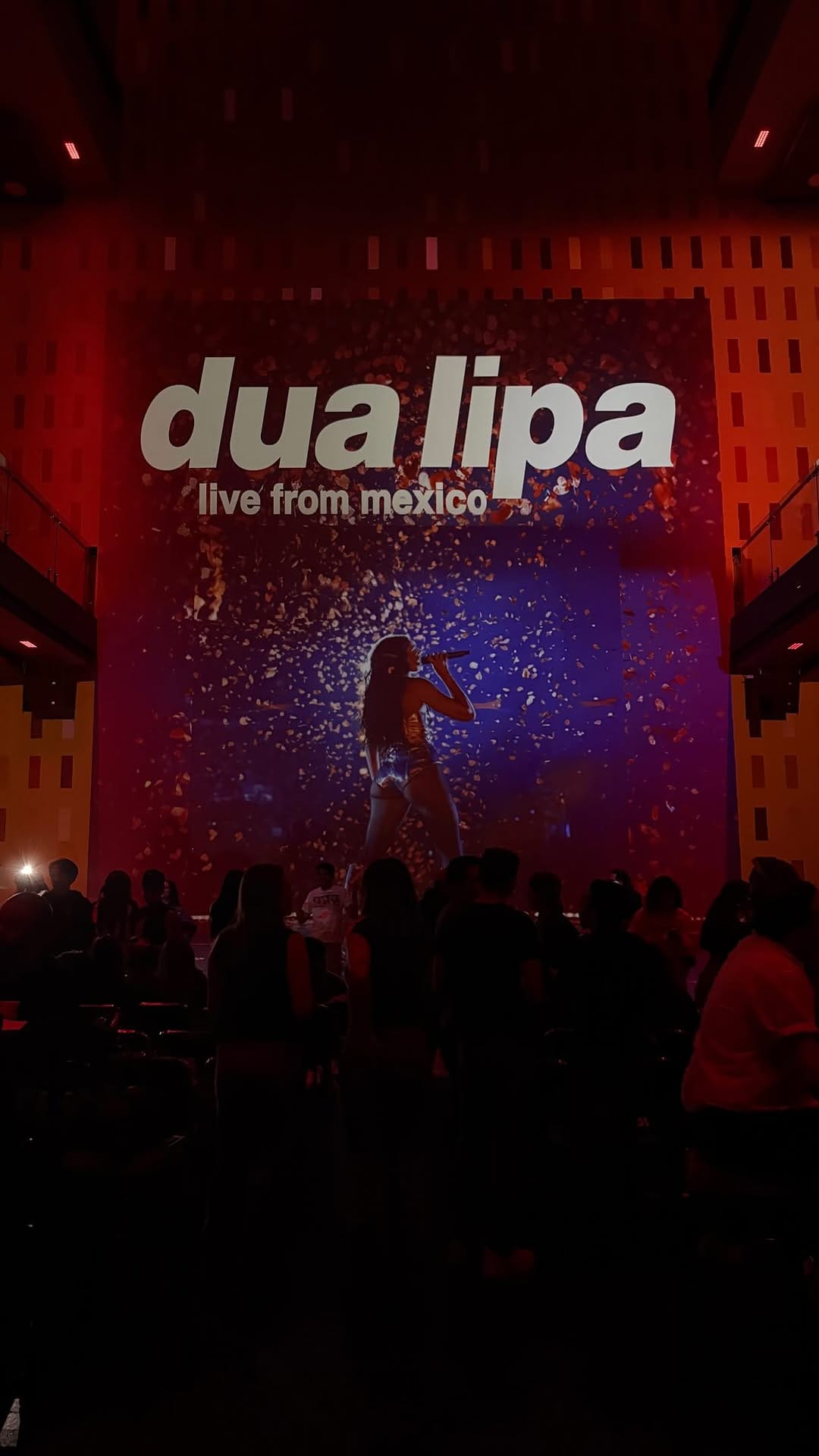 Post 5 by ana pau herrera on Instagram (video)