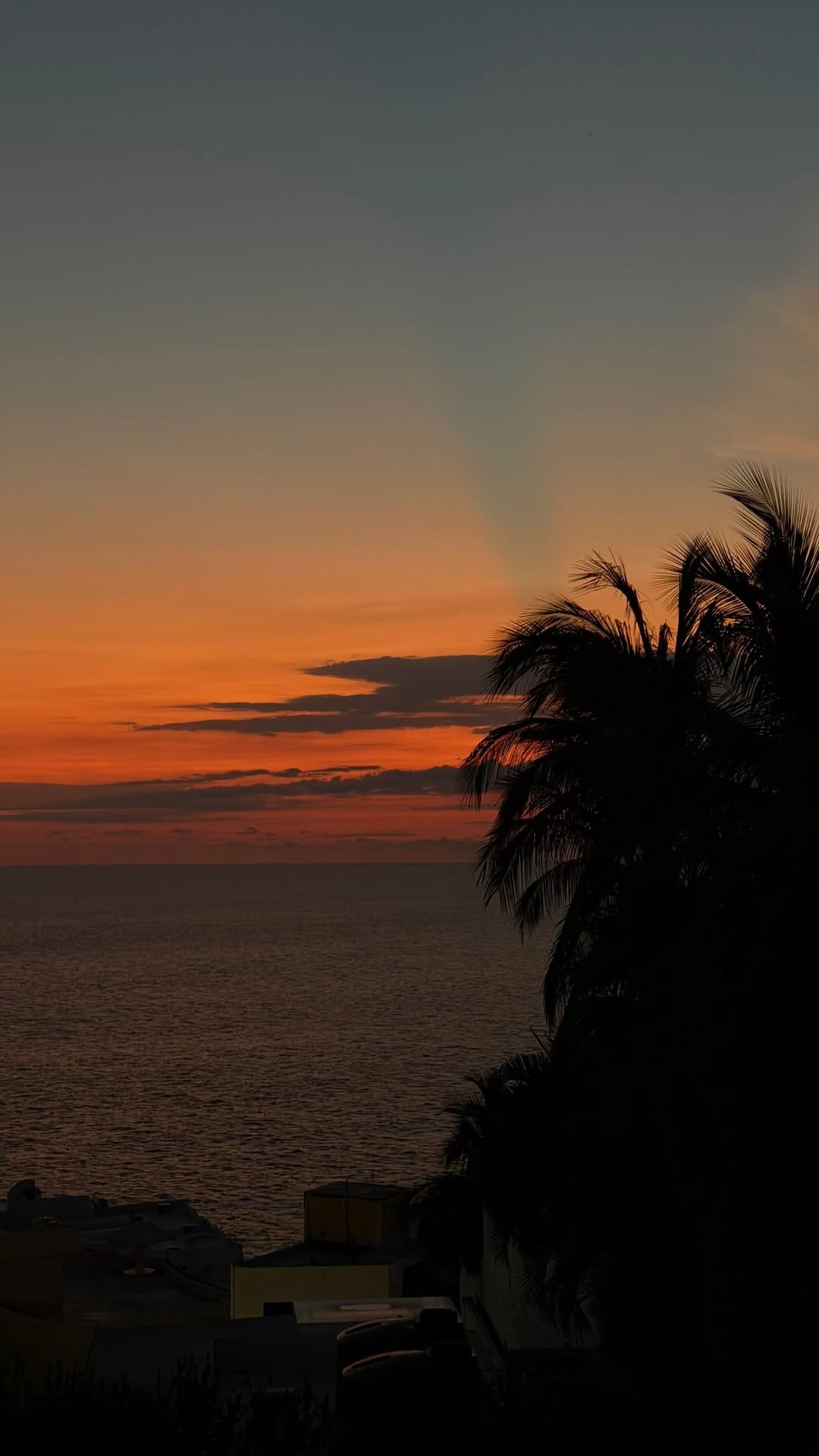 Post 2 by ana pau herrera on Instagram (video)