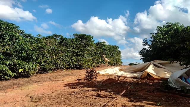 Post 1 by Nelson Pope on Instagram (video)