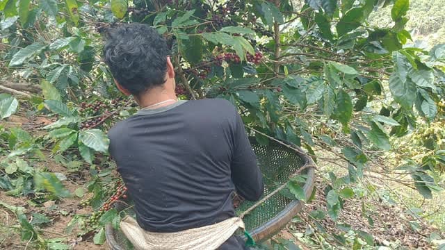Post 6 by Nelson Pope on Instagram (video)