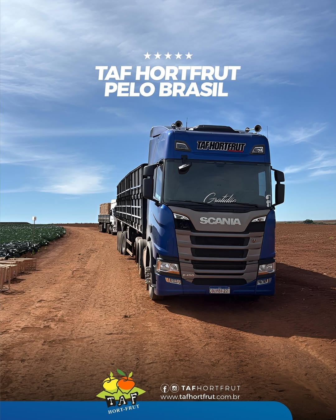 Post 8 by TAF HORTFRUT on Instagram (image)