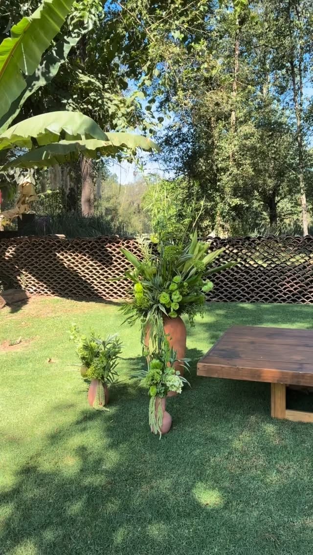 Post 8 by Macadamia Flores on Instagram (video)