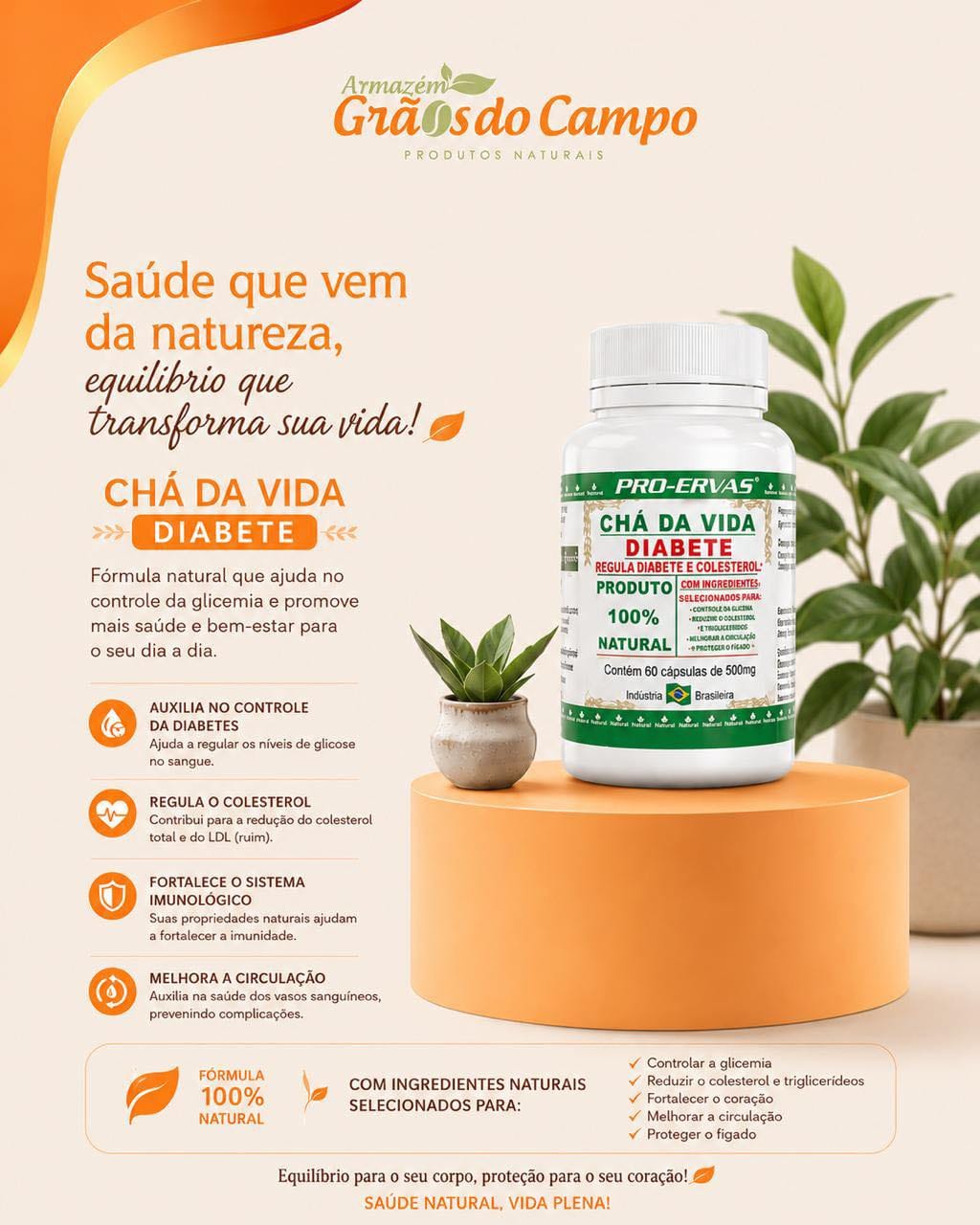 Post 5 by Armazém Grãos do Campo - PRODUTOS NATURAIS on Instagram (image)