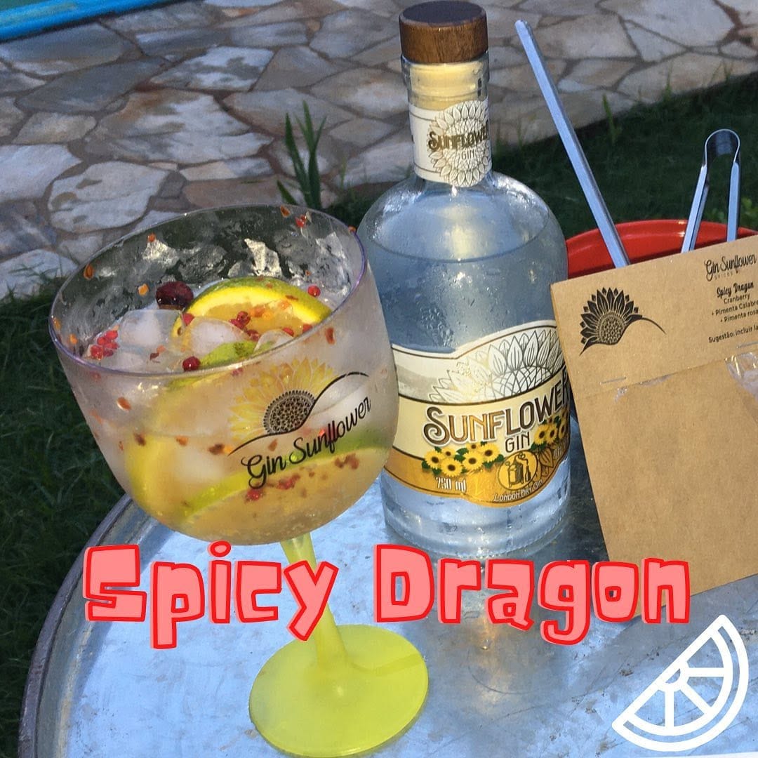 Post 9 by Aprenda Bebidas para Festas on Instagram (carousel)