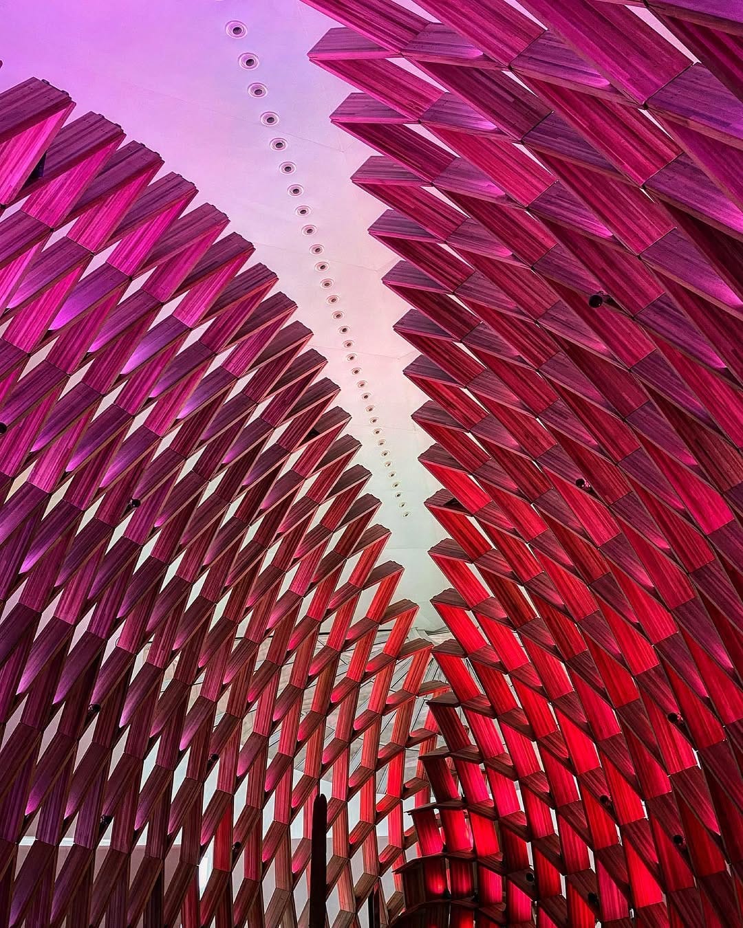 Post 7 by Frederico M. Mourão on Instagram (image)
