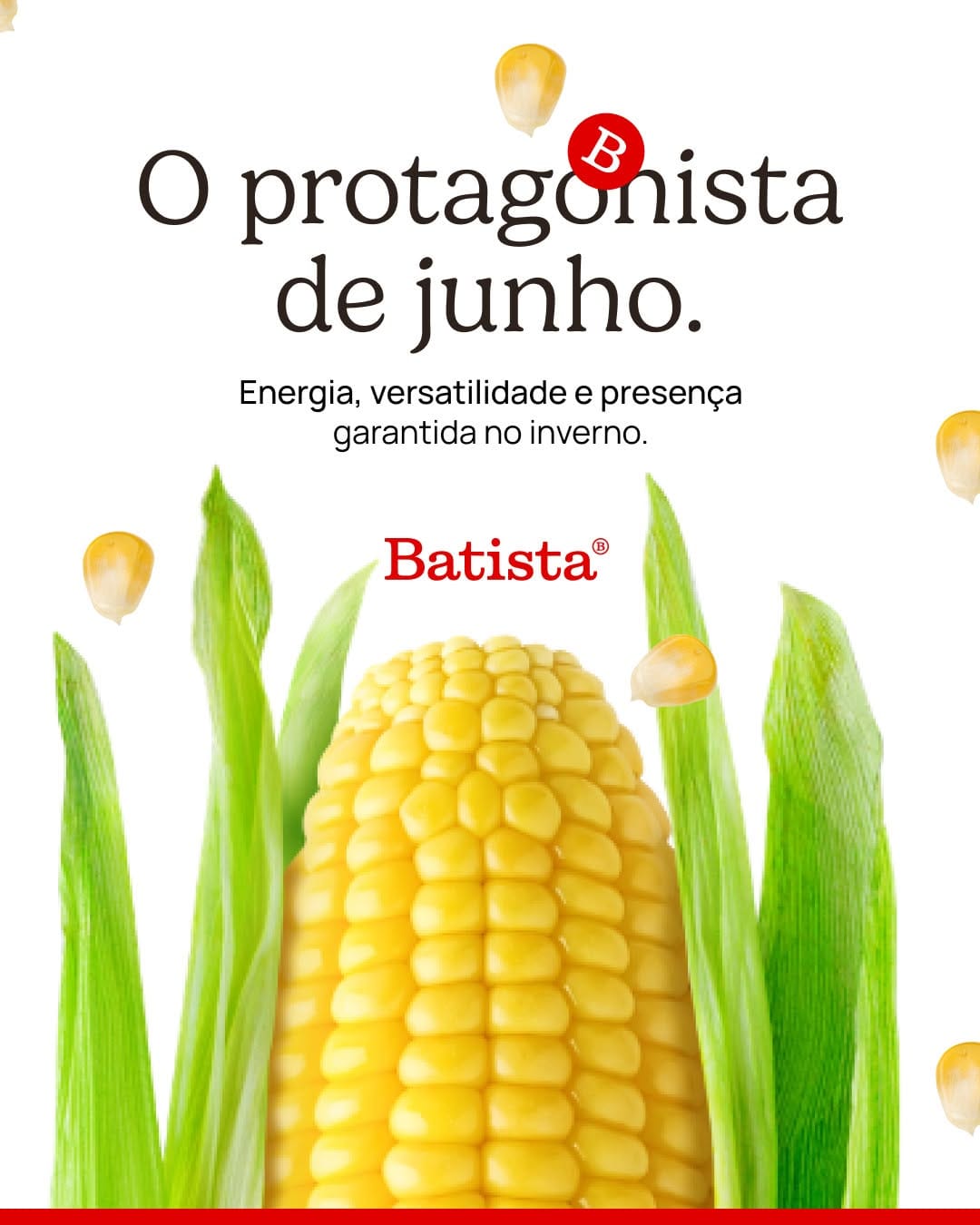 Post 2 by Batista Agronegócio on Instagram (image)