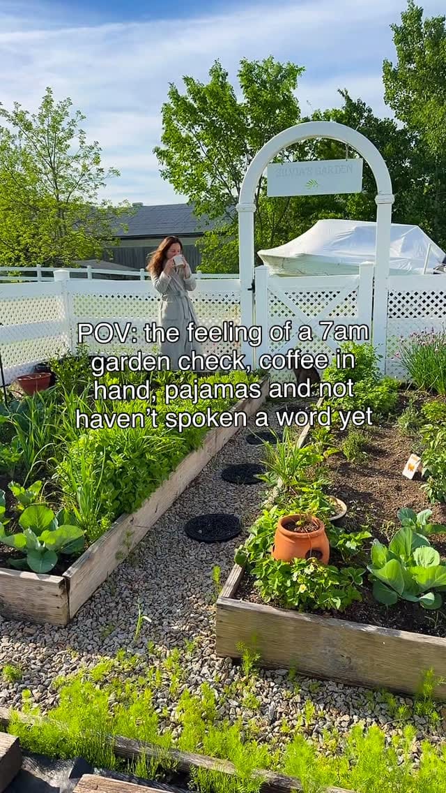 Post 5 by Silvia | Garden in the Kitchen 🌿 on Instagram (video)