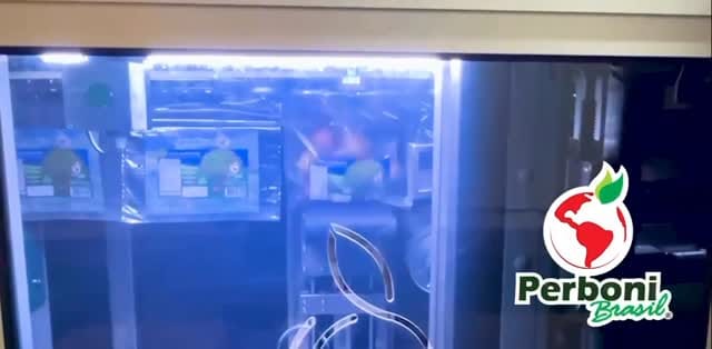 Post 2 by Perboni Brasil on Instagram (video)