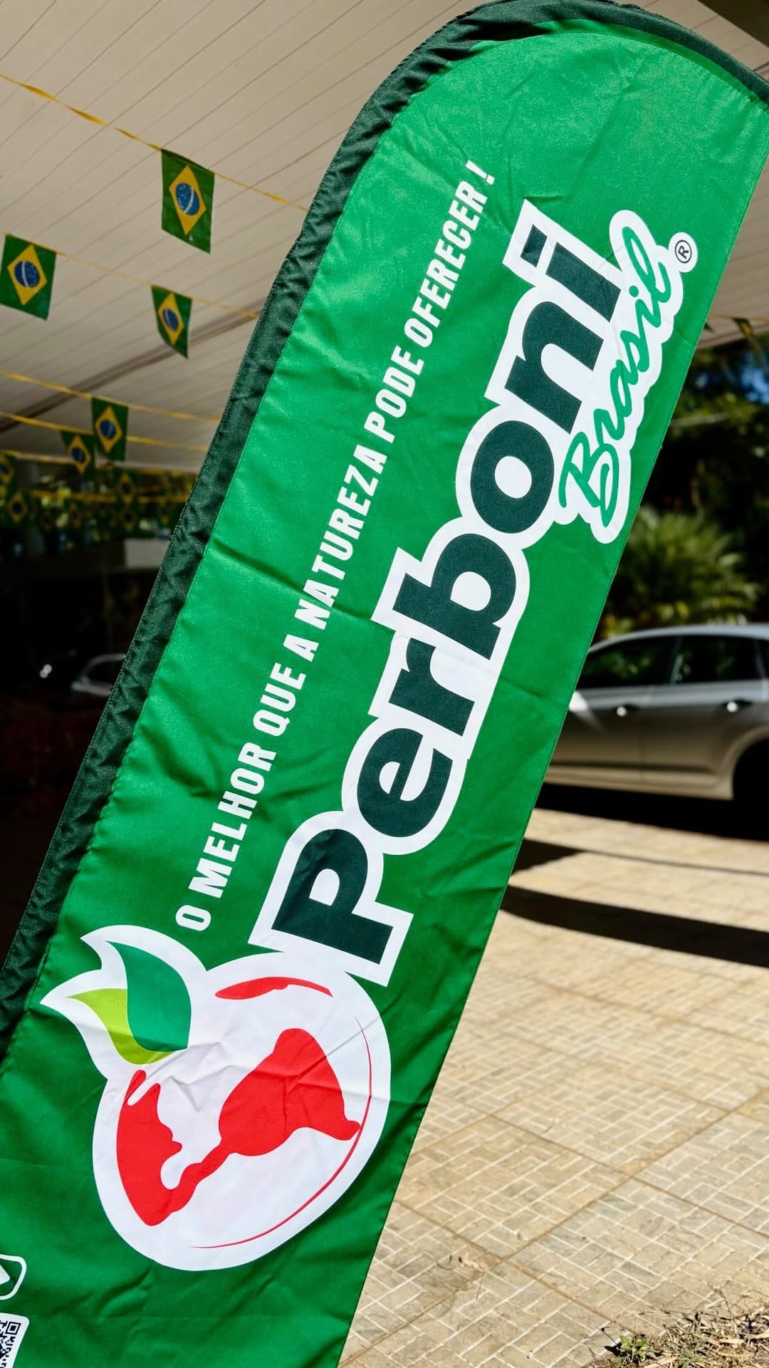Post 1 by Perboni Brasil on Instagram (video)