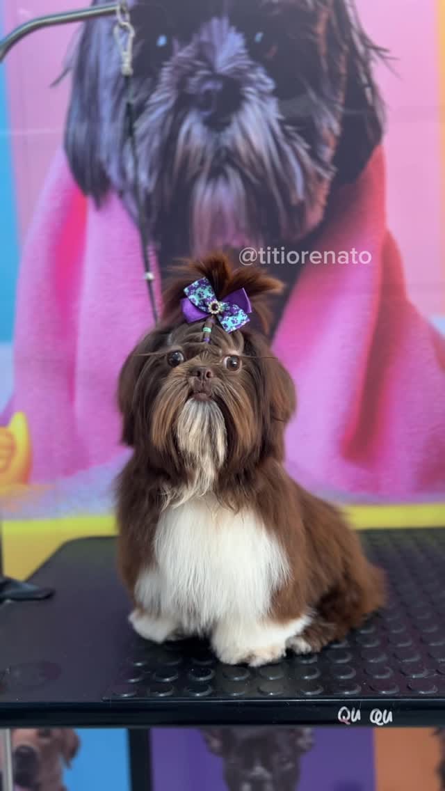Post 1 by Roberta Lobo on Instagram (video)