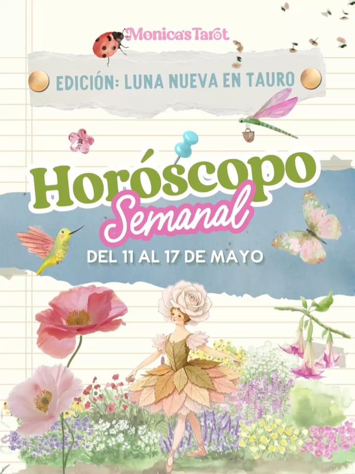 Post 8 by Monica de la Torre on Instagram (carousel)