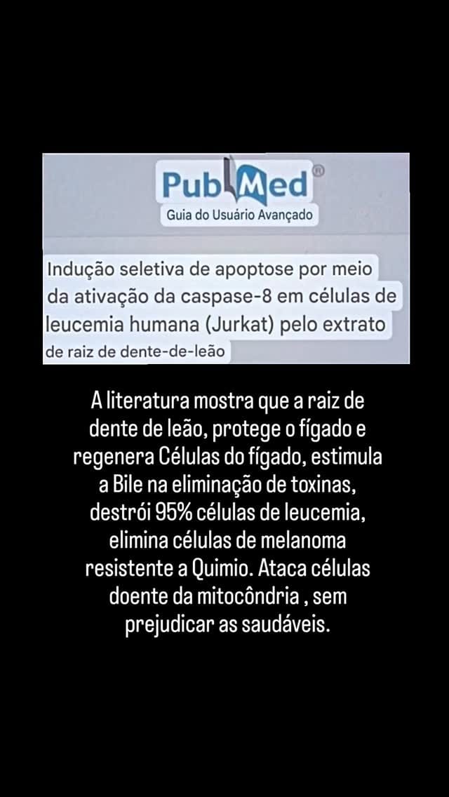 Post 6 by Casa Natural on Instagram (video)