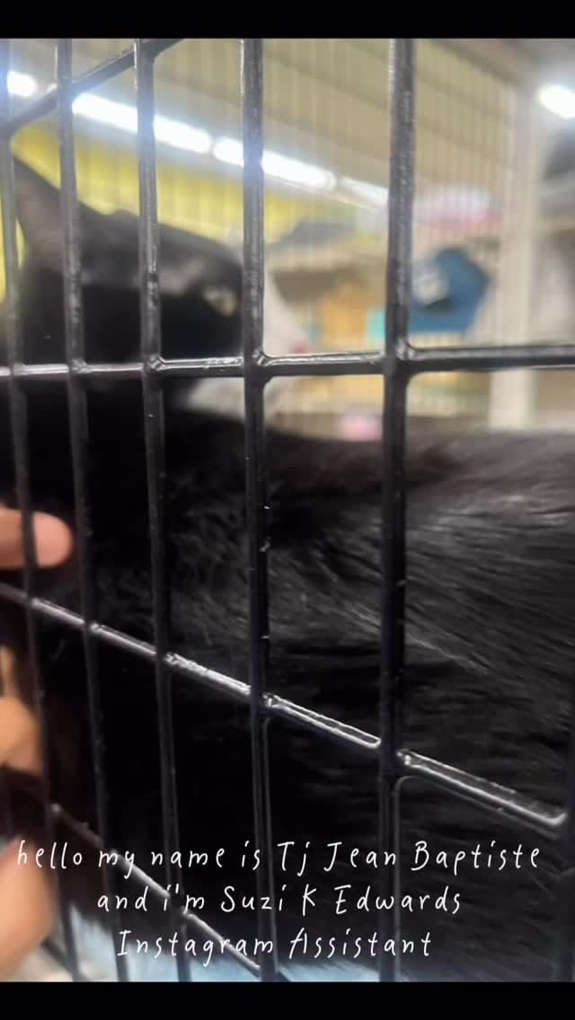 Post 2 by Suzi K Edwards on Instagram (video)