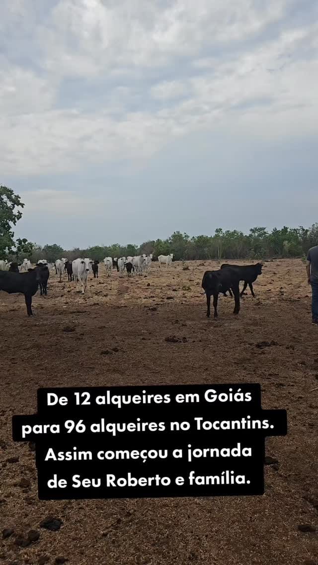 Post 10 by Agricultura Tocantinense® on Instagram (video)