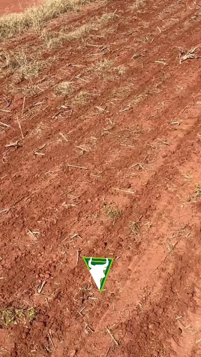 Post 5 by Agricultura Tocantinense® on Instagram (video)