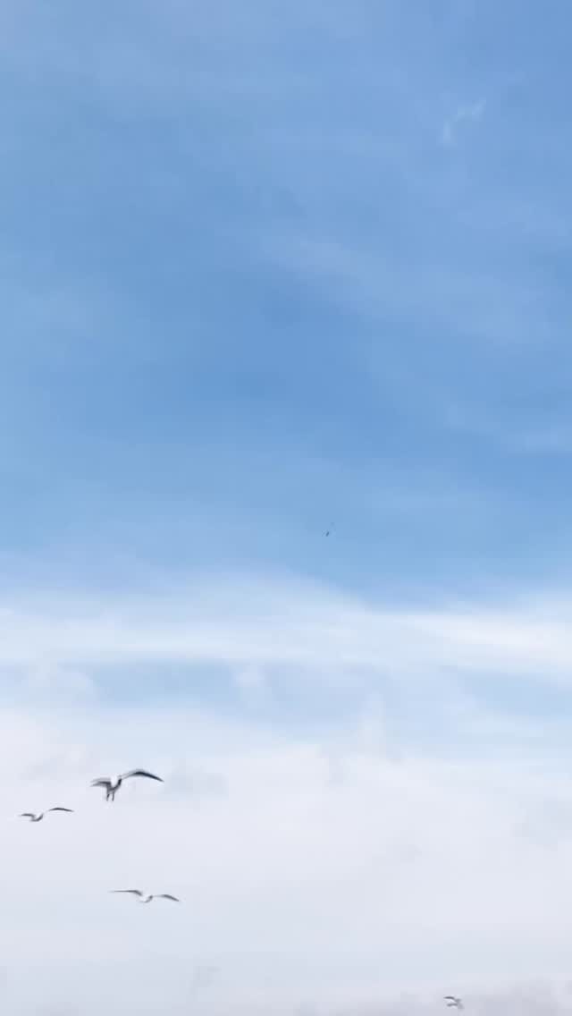Post 4 by Property Advisor México on Instagram (video)