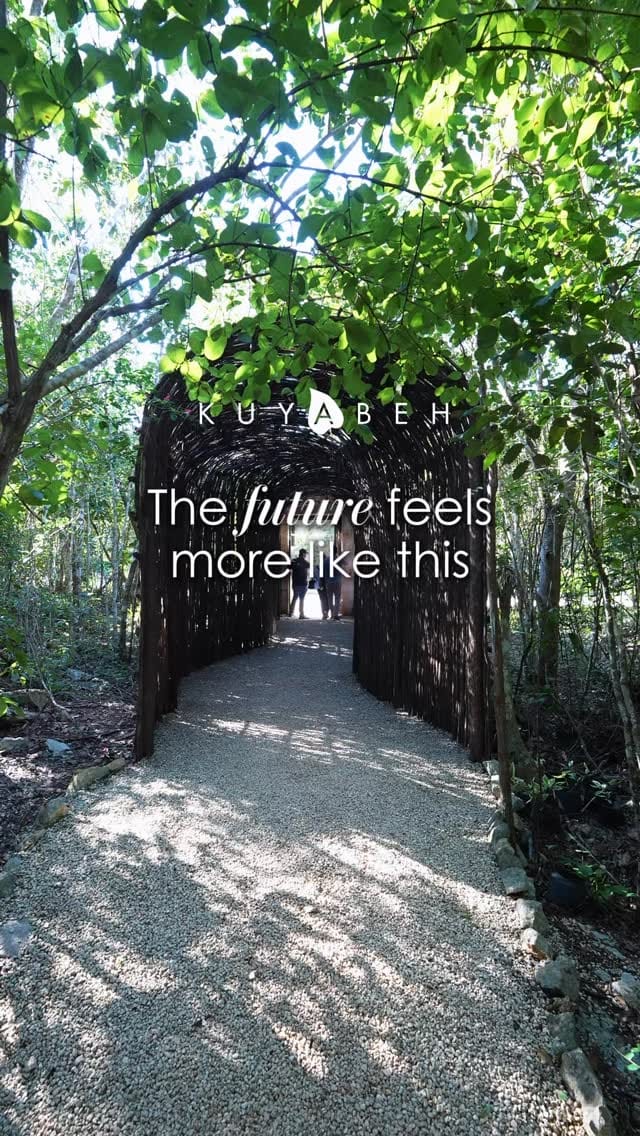 Post 1 by Property Advisor México on Instagram (video)