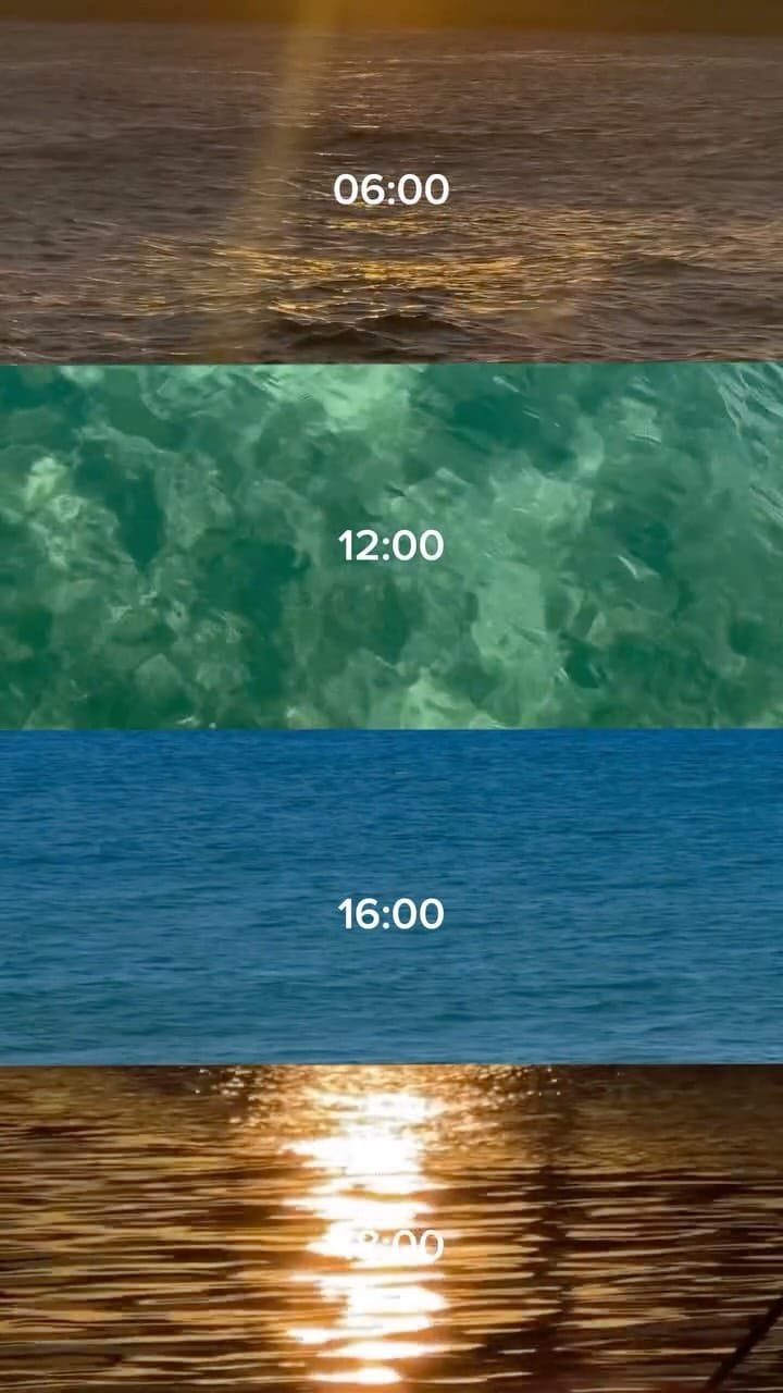 Post 6 by Grupo Lôro on Instagram (video)