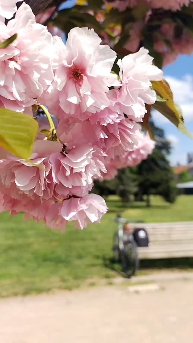 Post 3 by Natalia | Photography & Videography on Instagram (video)