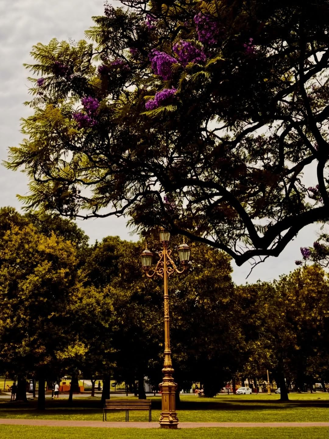 Post 2 by Suzanne Kelle | Dicas de Viagem | Travel on Instagram (carousel)
