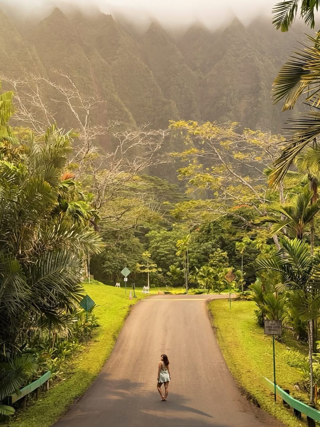 Post 2 by Aline Ferreira | UGC CREATOR on Instagram (carousel)