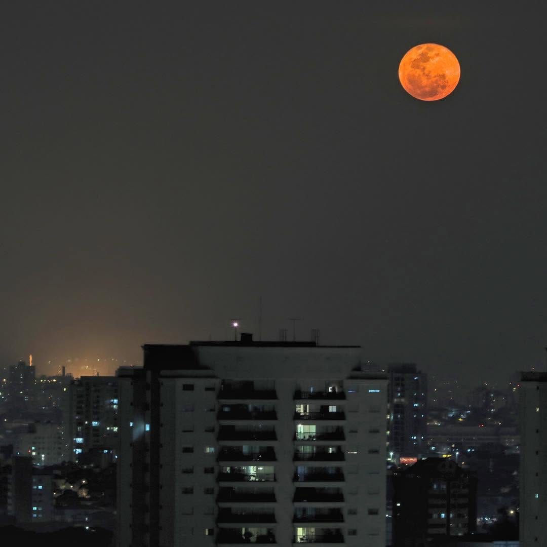 Post 7 by Ric Netto on Instagram (image)