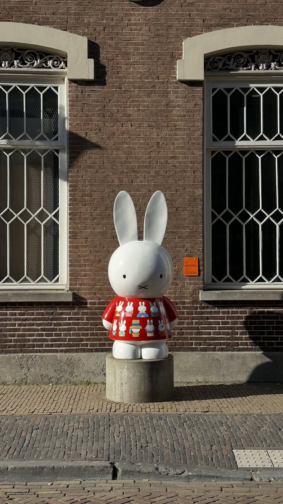 Post 9 by michelle alves | amsterdam on Instagram (video)