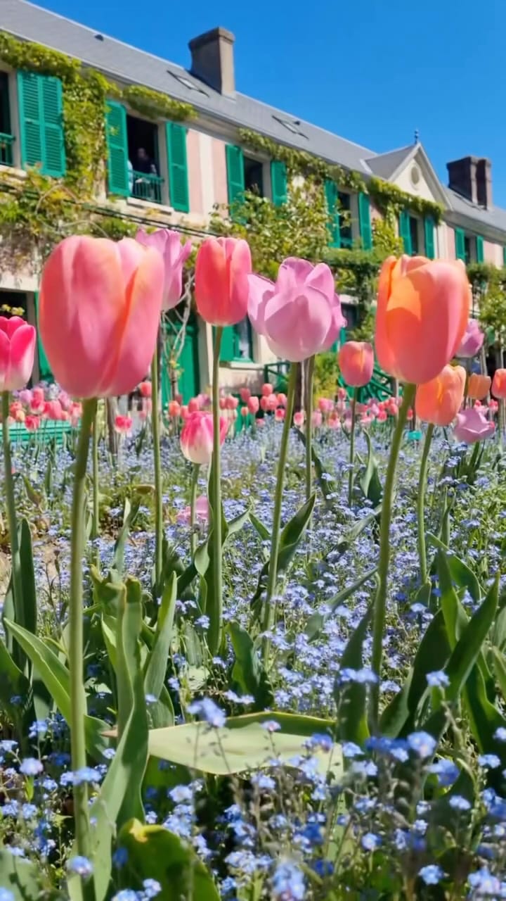 Post 3 by Sue Savastano | Slow Travel | Paris 🇫🇷 on Instagram (video)