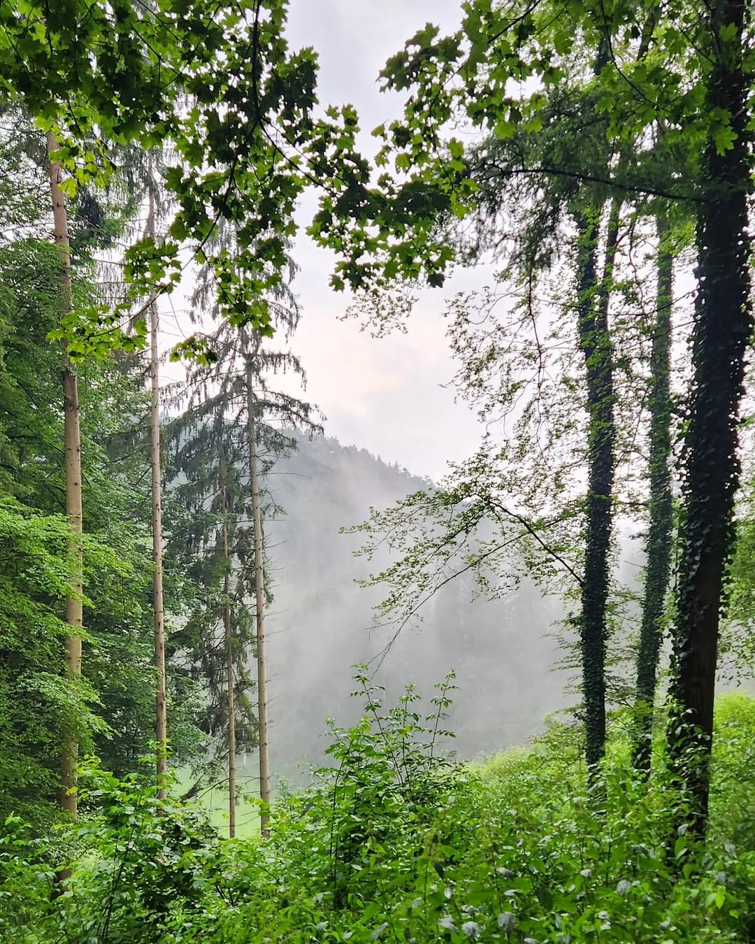 Post 7 by Ralph Lenard on Instagram (image)