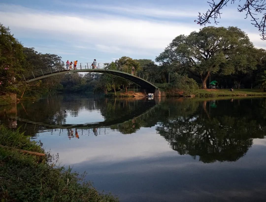 Post 5 by Eduardo Dp on Instagram (image)