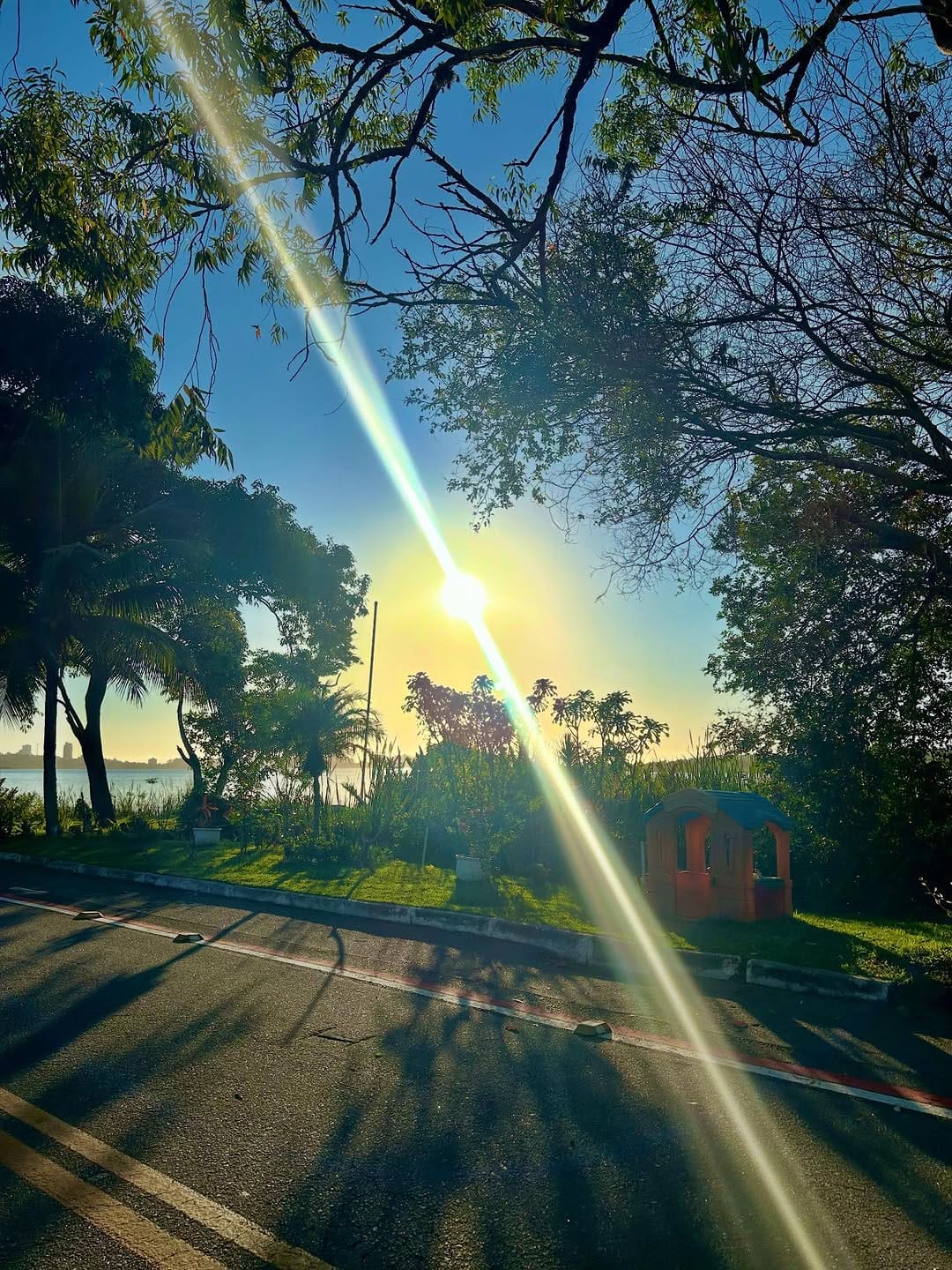Post 8 by Flores Vallandro on Instagram (image)