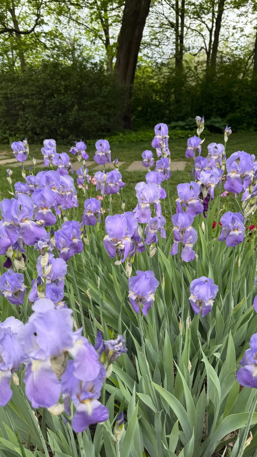 Post 5 by Cozy, Natural Living on Instagram (video)
