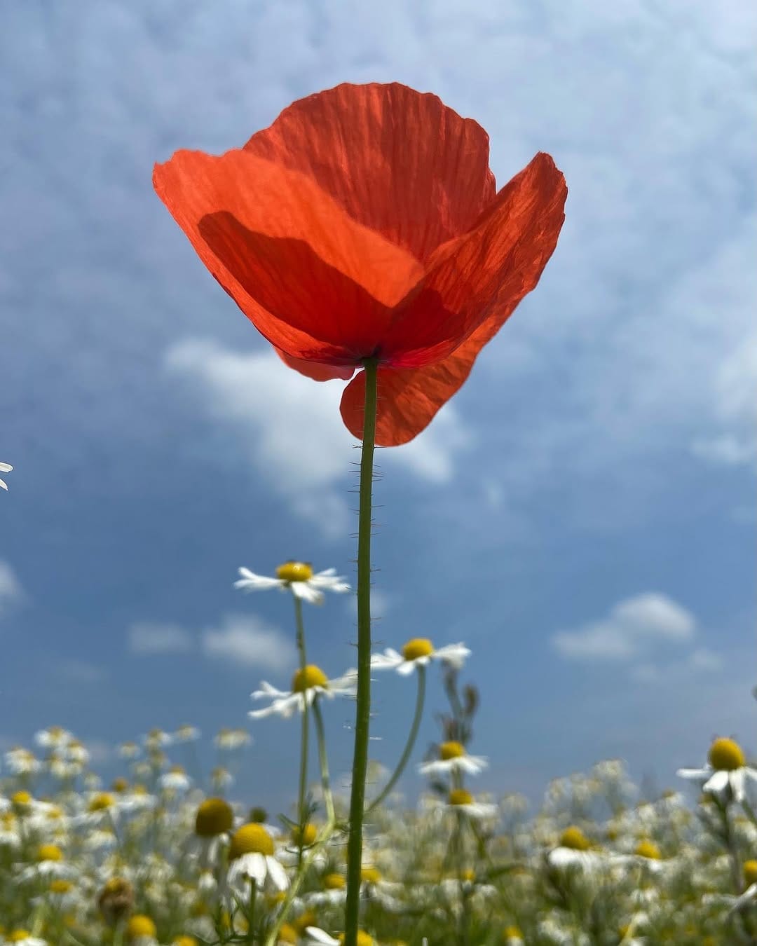 Post 10 by Nataliya 🇬🇧🇺🇦 on Instagram (image)
